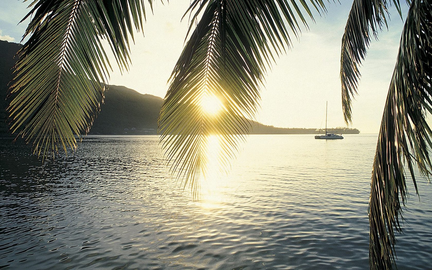 Landscapes Moorea Bay Cooks Wallpapers Hd Desktop And Mobile