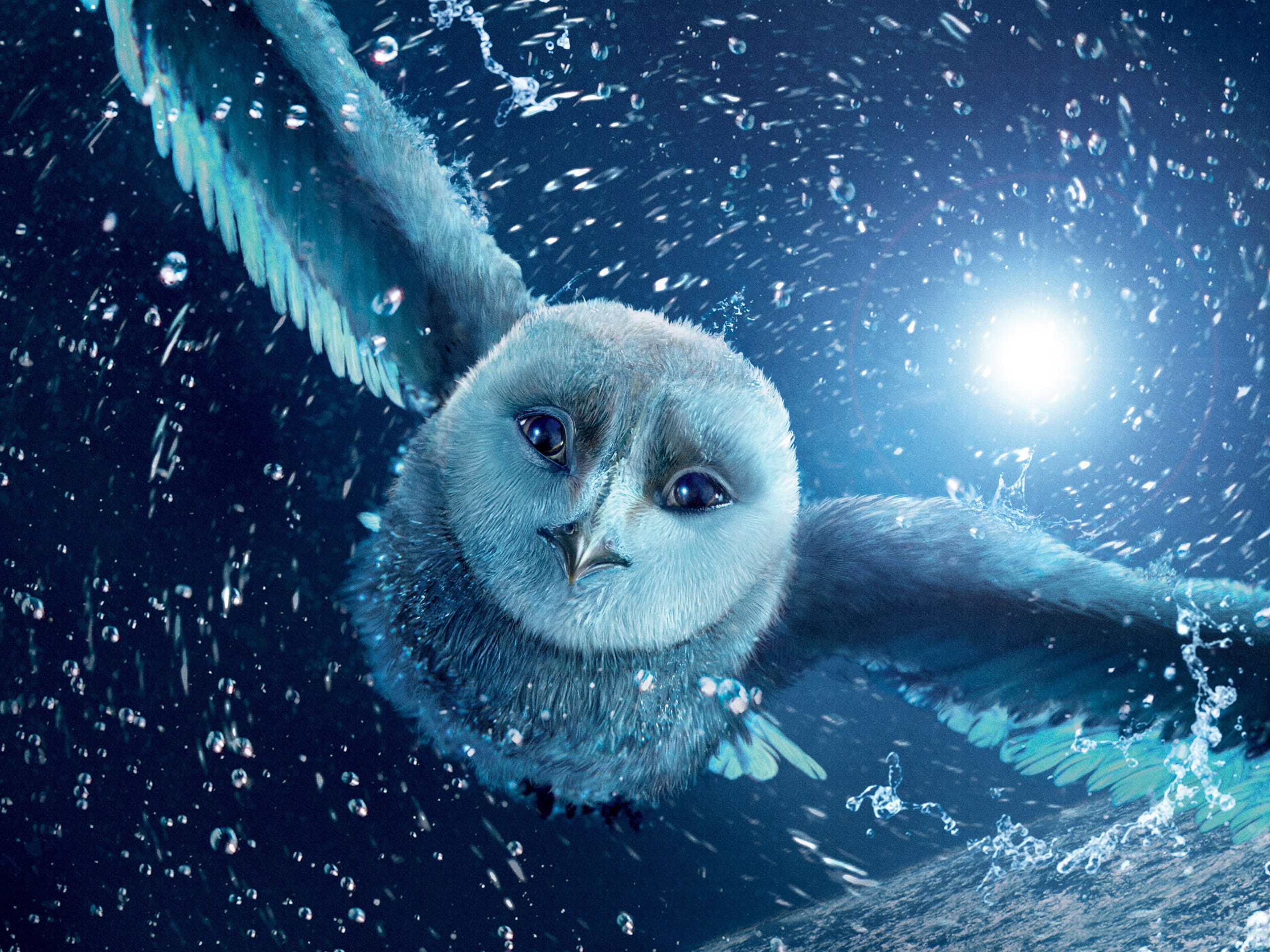 snow, Owls, Legend, Of, The, Guardians, Movie, Posters Wallpaper