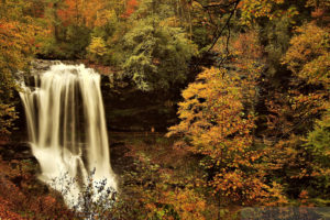 autumn, Forest, River, Waterfall