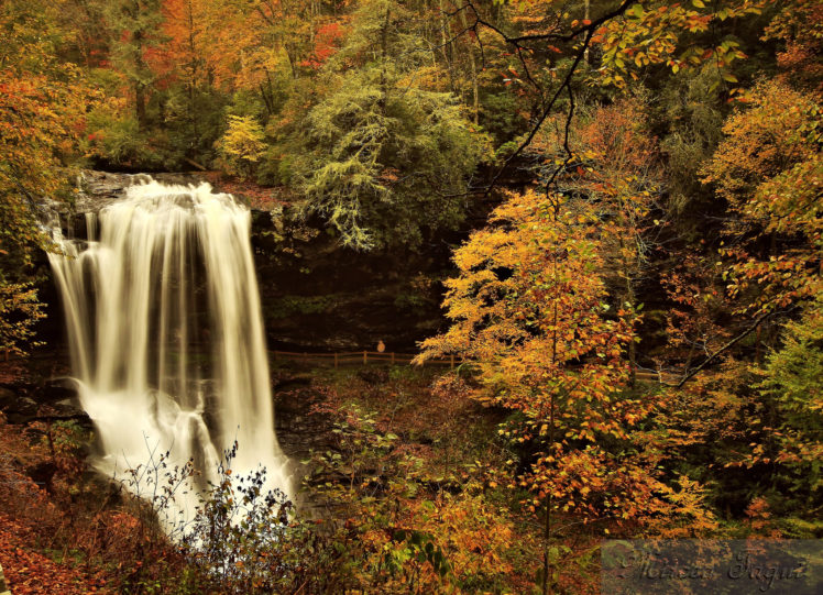 autumn, Forest, River, Waterfall HD Wallpaper Desktop Background
