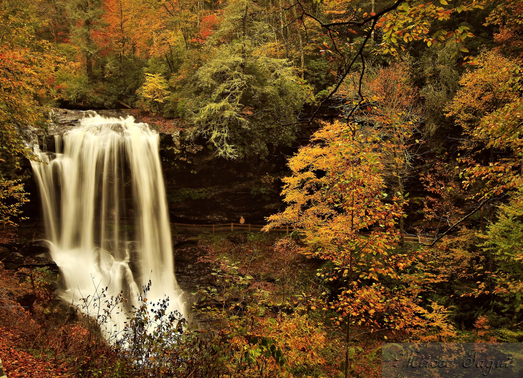 autumn, Forest, River, Waterfall Wallpaper