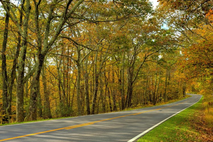 autumn, Trees, Road, Landscape HD Wallpaper Desktop Background