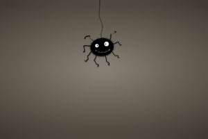 black, Cobweb, Spider, Dusky, Background