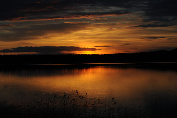 forest, Lake, Dusk, Sunset HD Wallpaper Desktop Background