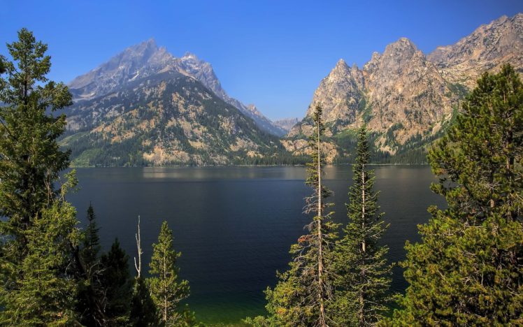 grand, Teton, National, Park, Jenny, Lake, Lake, Mountains, Trees, Landscape HD Wallpaper Desktop Background