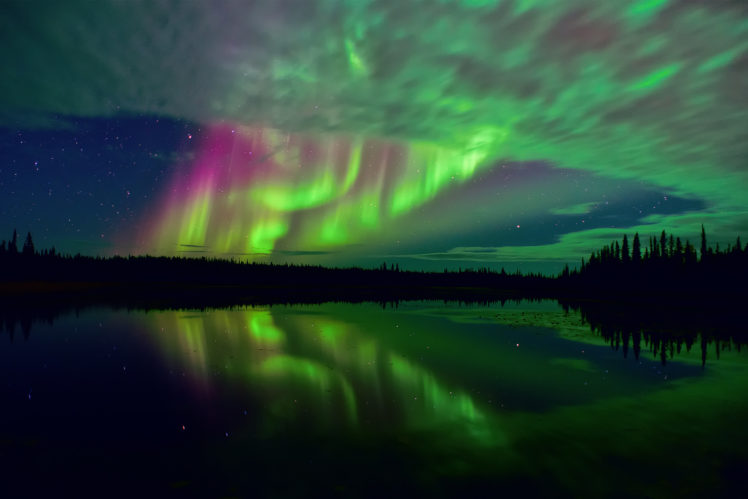 northern, Canada, Tundra, Arctic HD Wallpaper Desktop Background