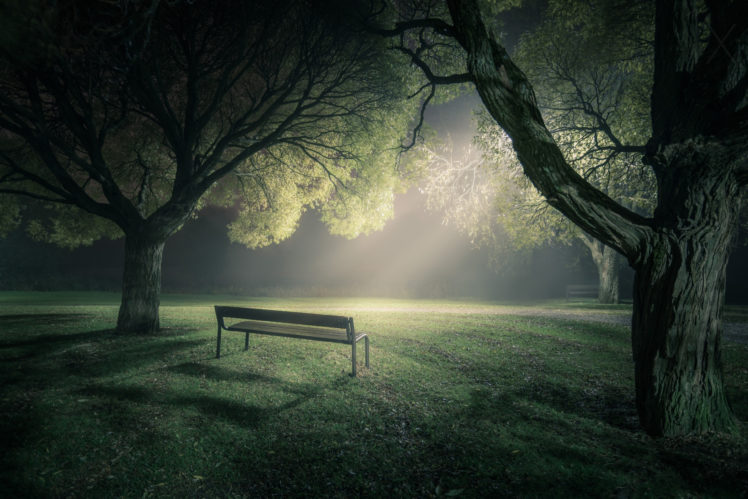 park, Bench, Fog, Trees, Light, Mood HD Wallpaper Desktop Background