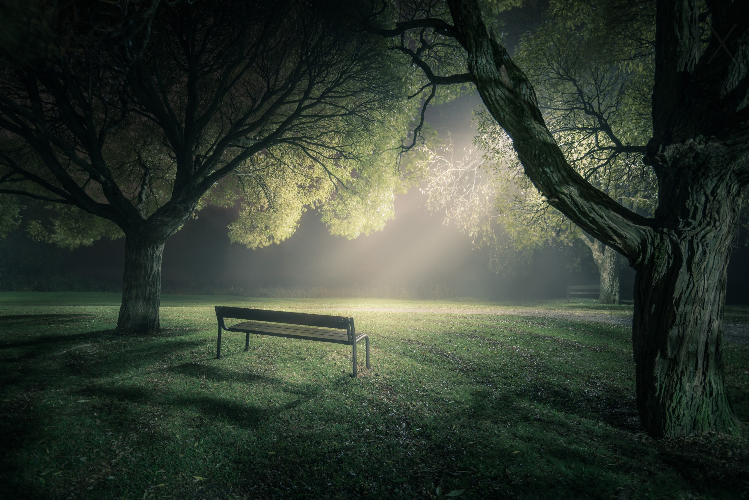 park, Bench, Fog, Trees, Light, Mood Wallpaper
