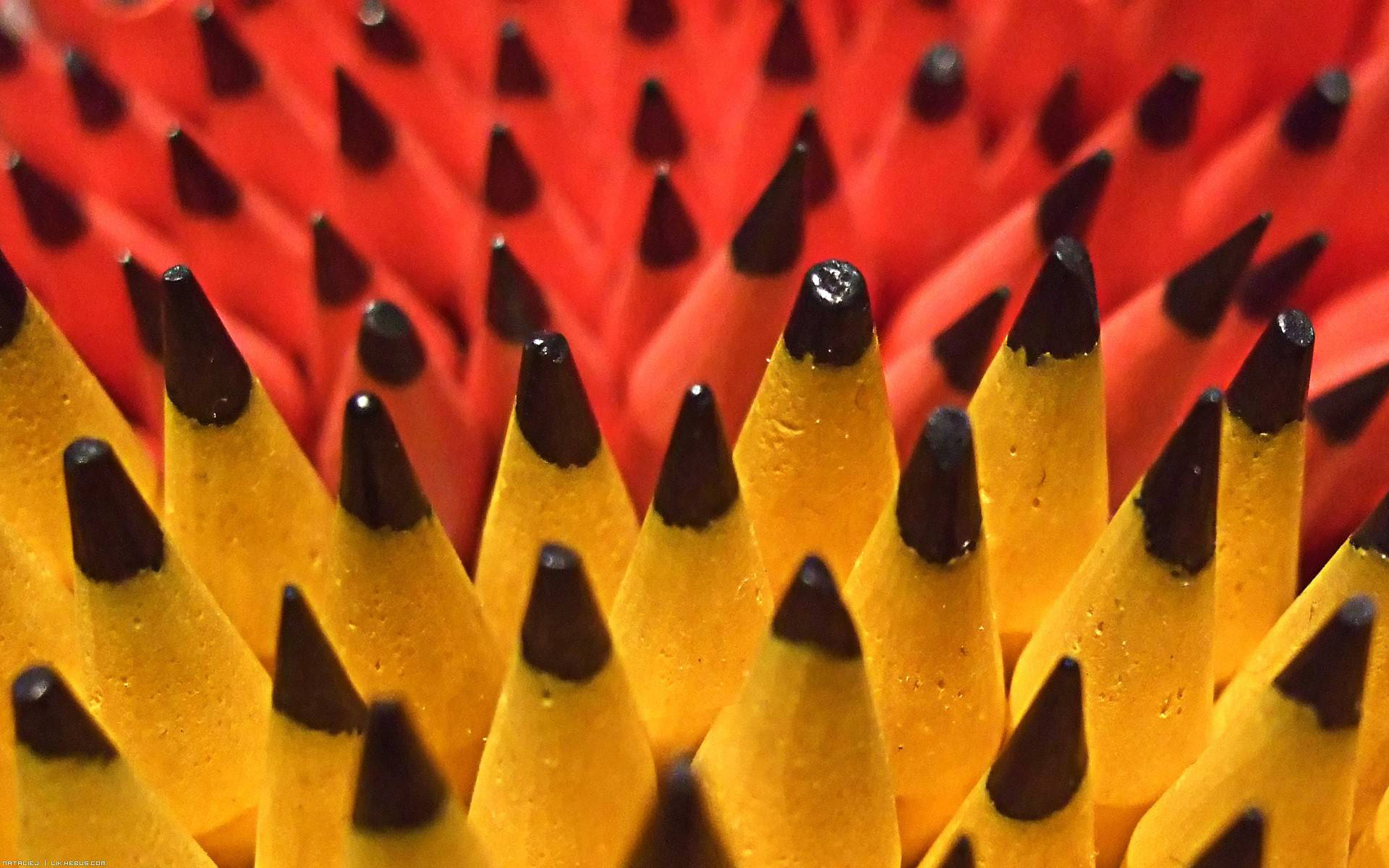 pencils, Pencil, Wood Wallpaper