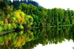 river, Forest, Autumn, Trees, Landscape