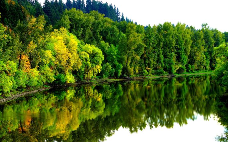 river, Forest, Autumn, Trees, Landscape HD Wallpaper Desktop Background