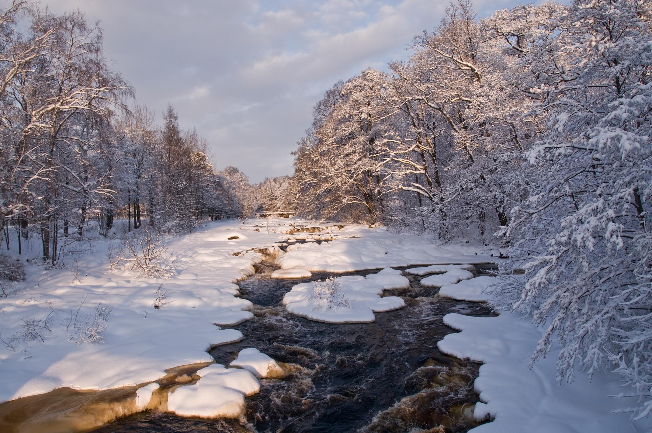 river, Winter, Trees, Landscape Wallpaper
