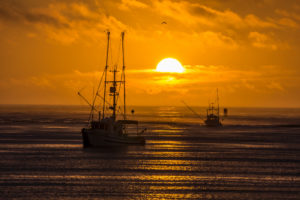 sea, Boats, Fishing, Sun, Evening, Sunset