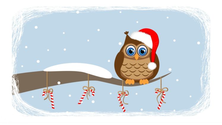 waiting, Owl, Snow HD Wallpaper Desktop Background
