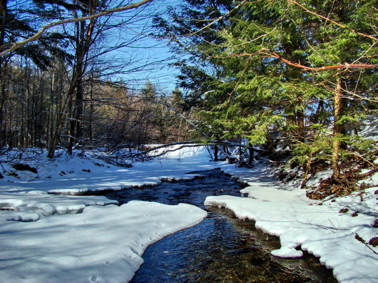 winter, Forest, River, Nature HD Wallpaper Desktop Background