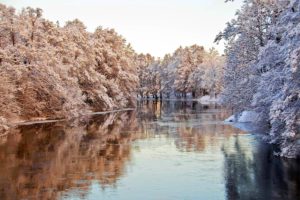 winter, River, Trees, Nature