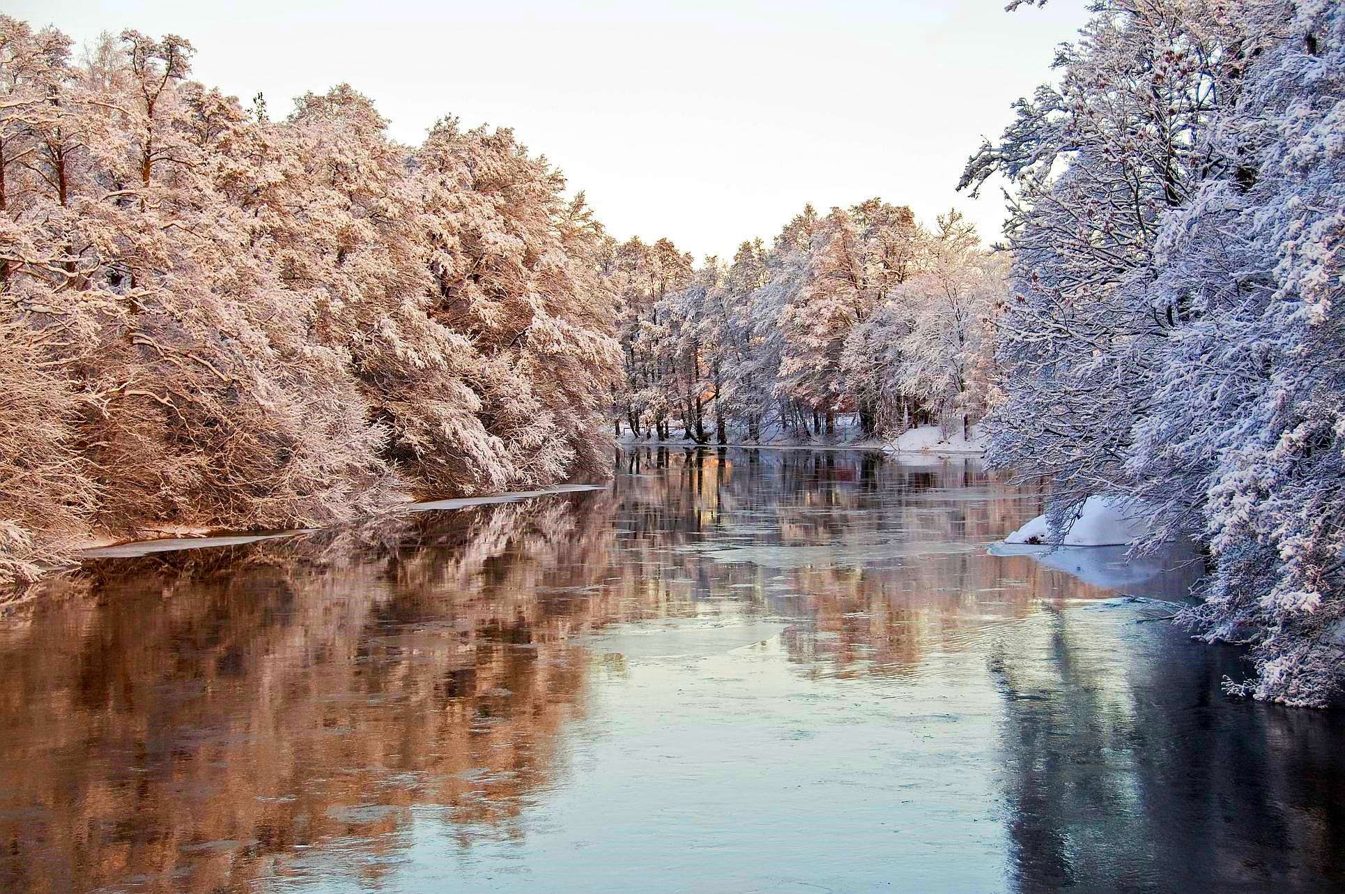 winter, River, Trees, Nature Wallpaper