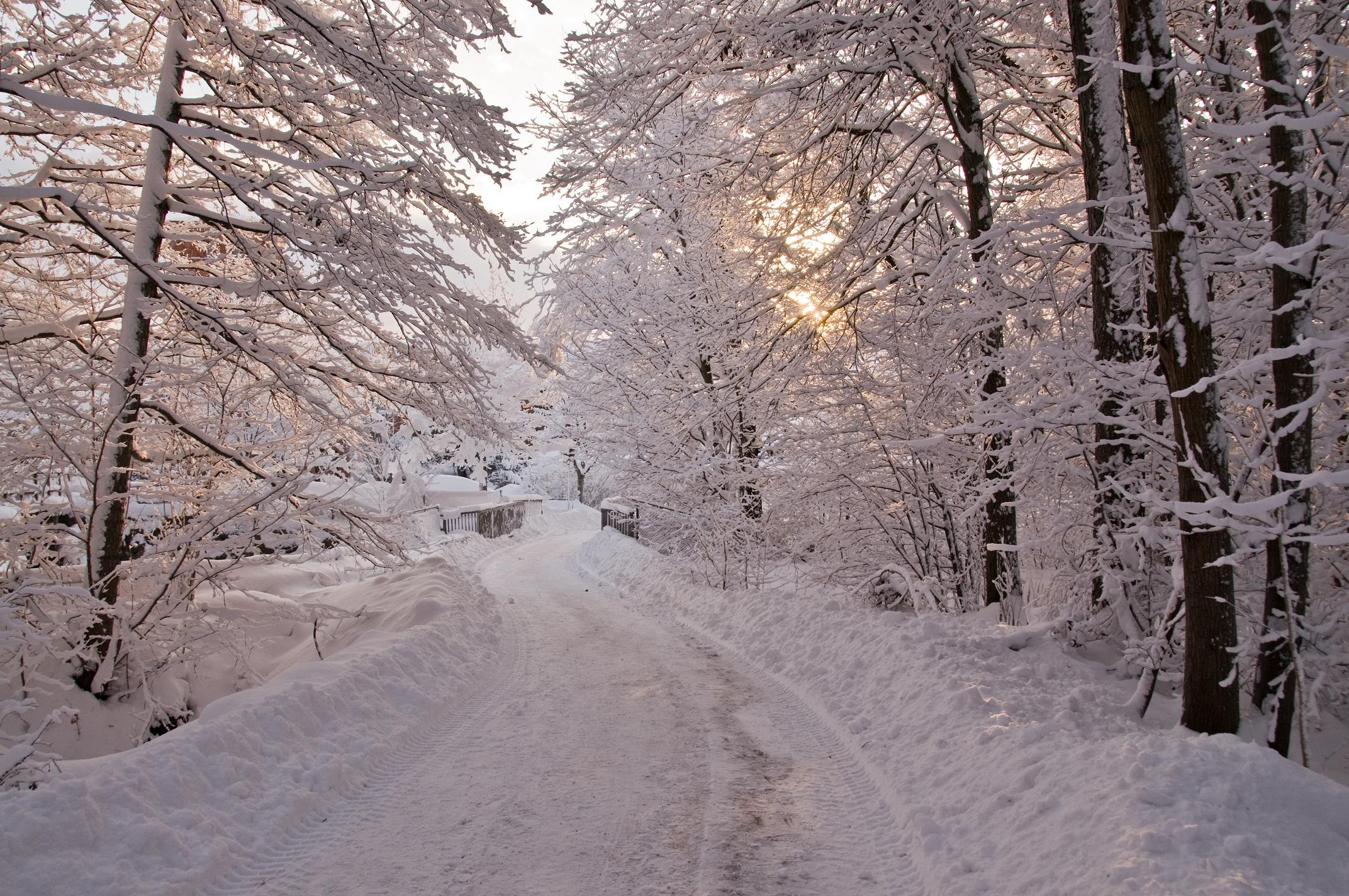 winter, Trees, Bridge, Road, Landscape Wallpaper