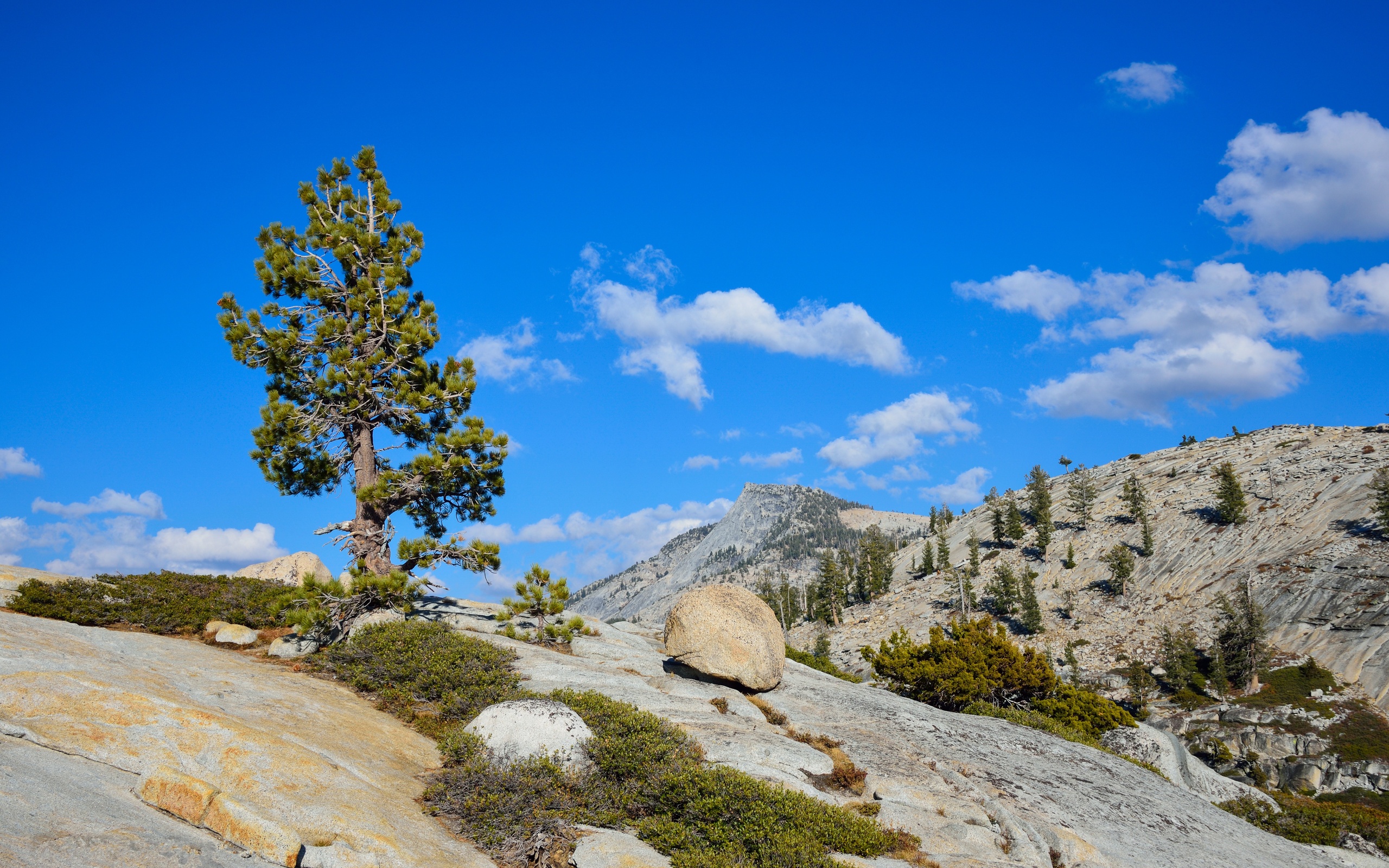 yosemite, National, Park, California, Mountains, Trees, Landscape Wallpaper
