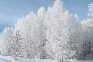 seasons, Winter, Snow, Nature