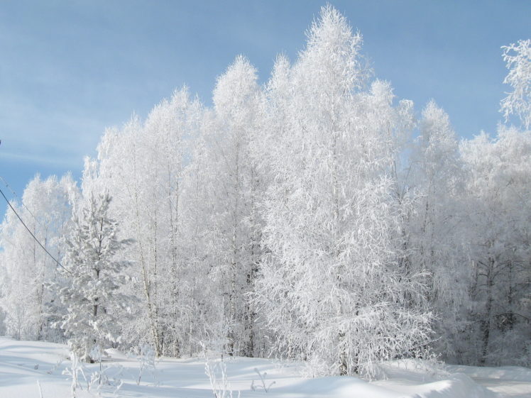 seasons, Winter, Snow, Nature HD Wallpaper Desktop Background