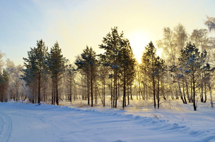 seasons, Winter, Trees, Snow, Nature HD Wallpaper Desktop Background