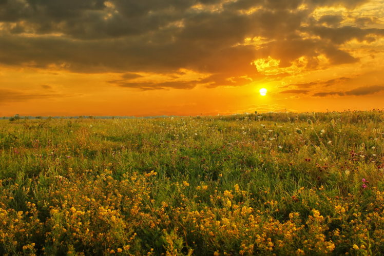 sunrises, And, Sunsets, Fields, Nature HD Wallpaper Desktop Background