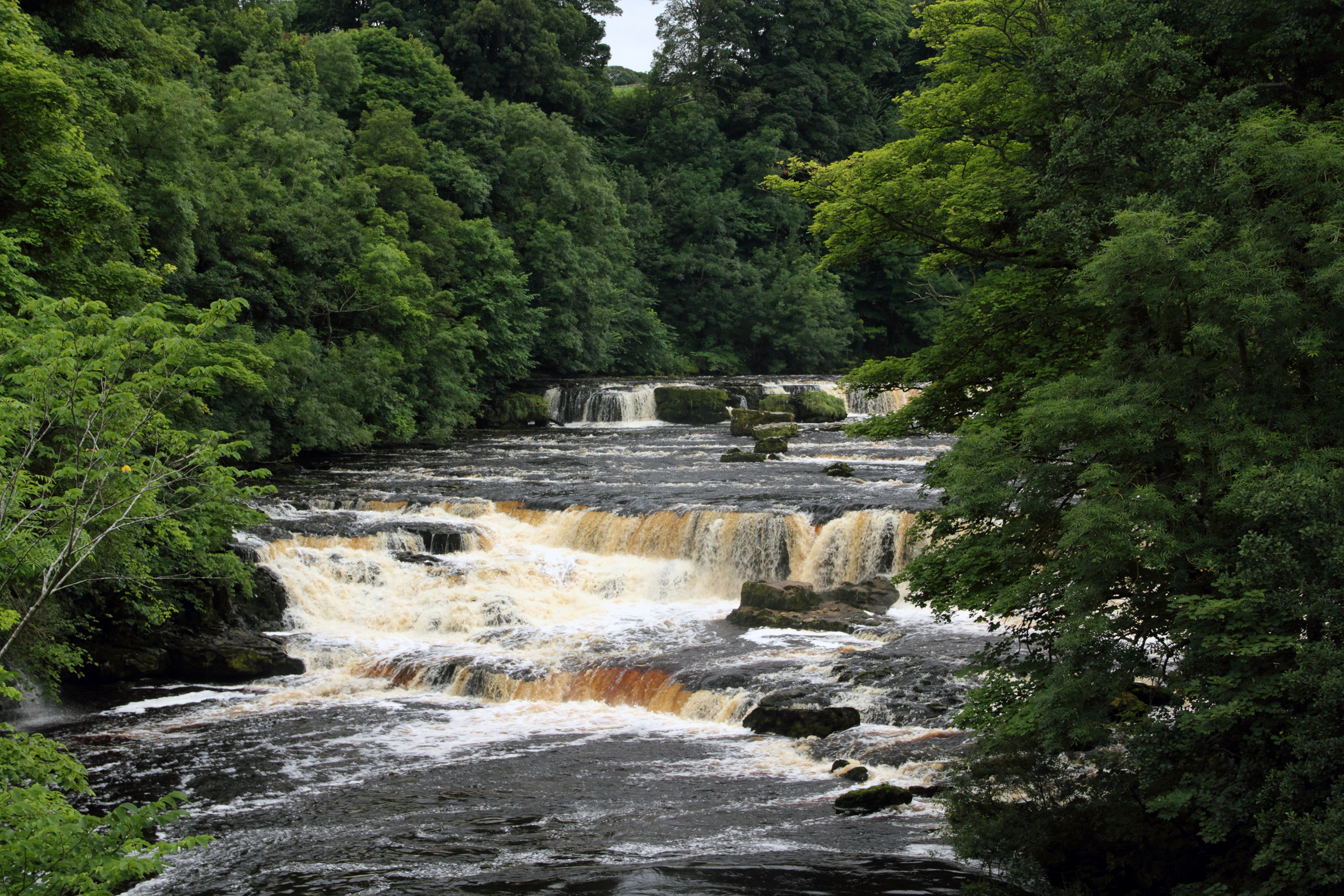 waterfalls, England, Aysgarth, Falls, Yorkshire, Nature Wallpaper