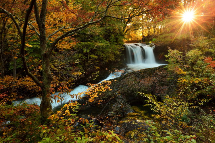 waterfalls, Forests, Autumn, Sun, Nature HD Wallpaper Desktop Background