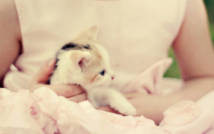 21148 HD Wallpaper Desktop Background