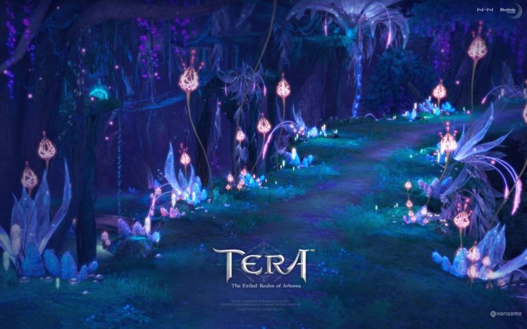 tera, Online, Fantasy, Adventure, Game,  105 HD Wallpaper Desktop Background