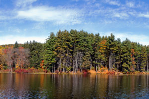 autumn, Forest, Lake