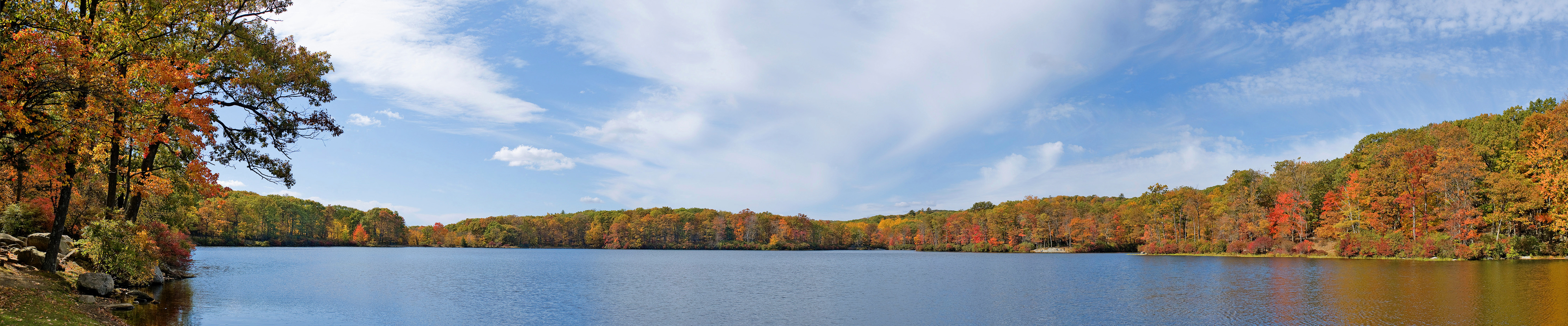 autumn, Forest, Lake Wallpaper