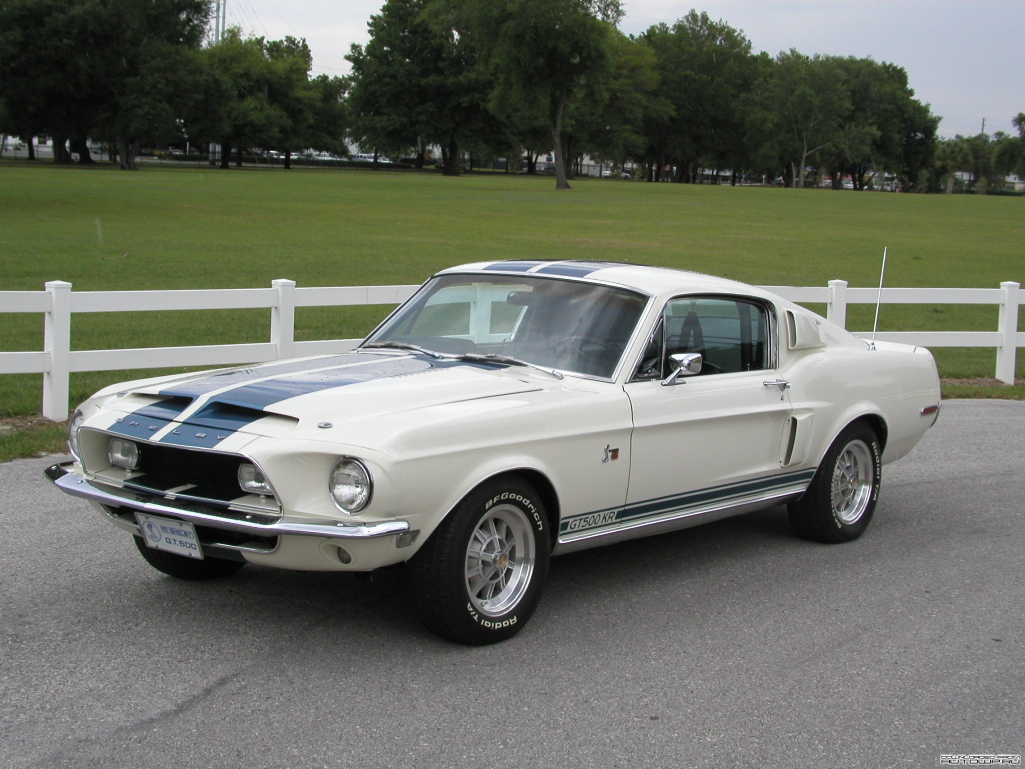 shelby, Mustang, Ford, Shelby, Gt500, Kr Wallpaper