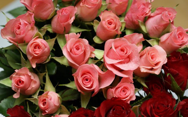 flowers, Bouquet, Roses HD Wallpaper Desktop Background