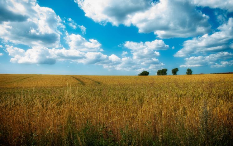 landscapes, Nature, Skies HD Wallpaper Desktop Background