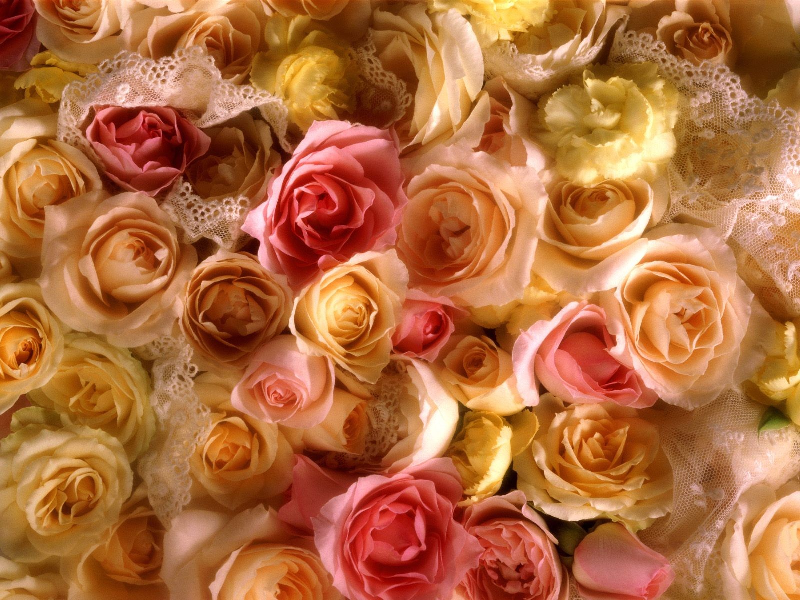 flowers, Bouquet Wallpaper