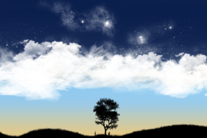 trees, Silhouettes, Skyscapes