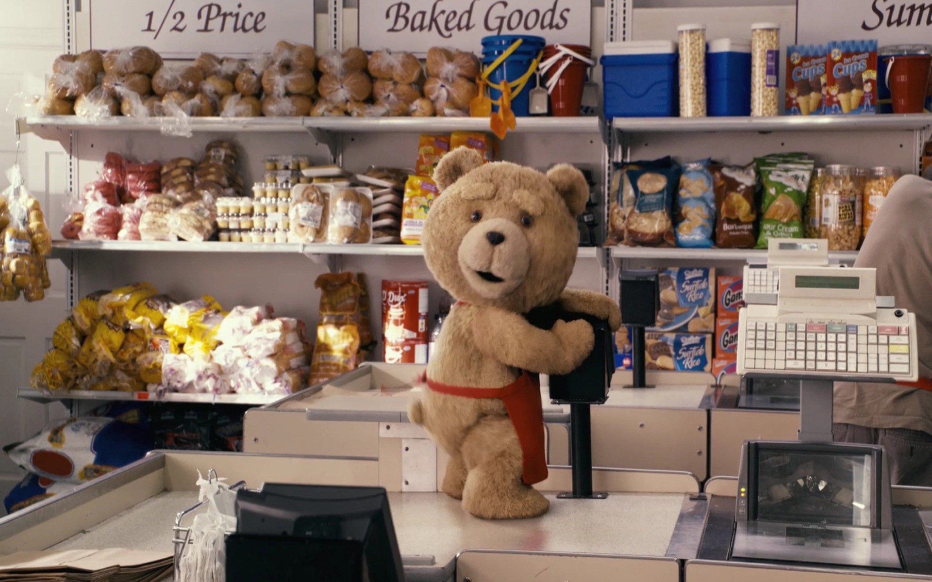 movies, Funny, Teddy, Bears, Ted Wallpaper