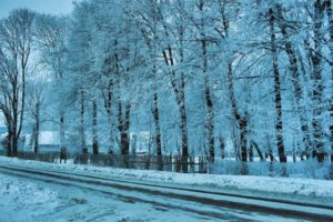 nature, Winter, Snow, Trees