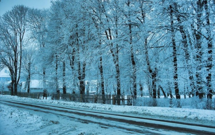 nature, Winter, Snow, Trees HD Wallpaper Desktop Background