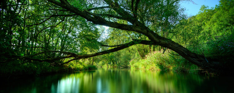 green, Water, Nature, Trees HD Wallpaper Desktop Background