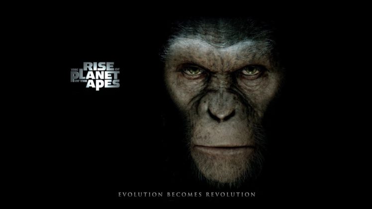 movies, Rise, Of, The, Planet, Of, The, Apes HD Wallpaper Desktop Background