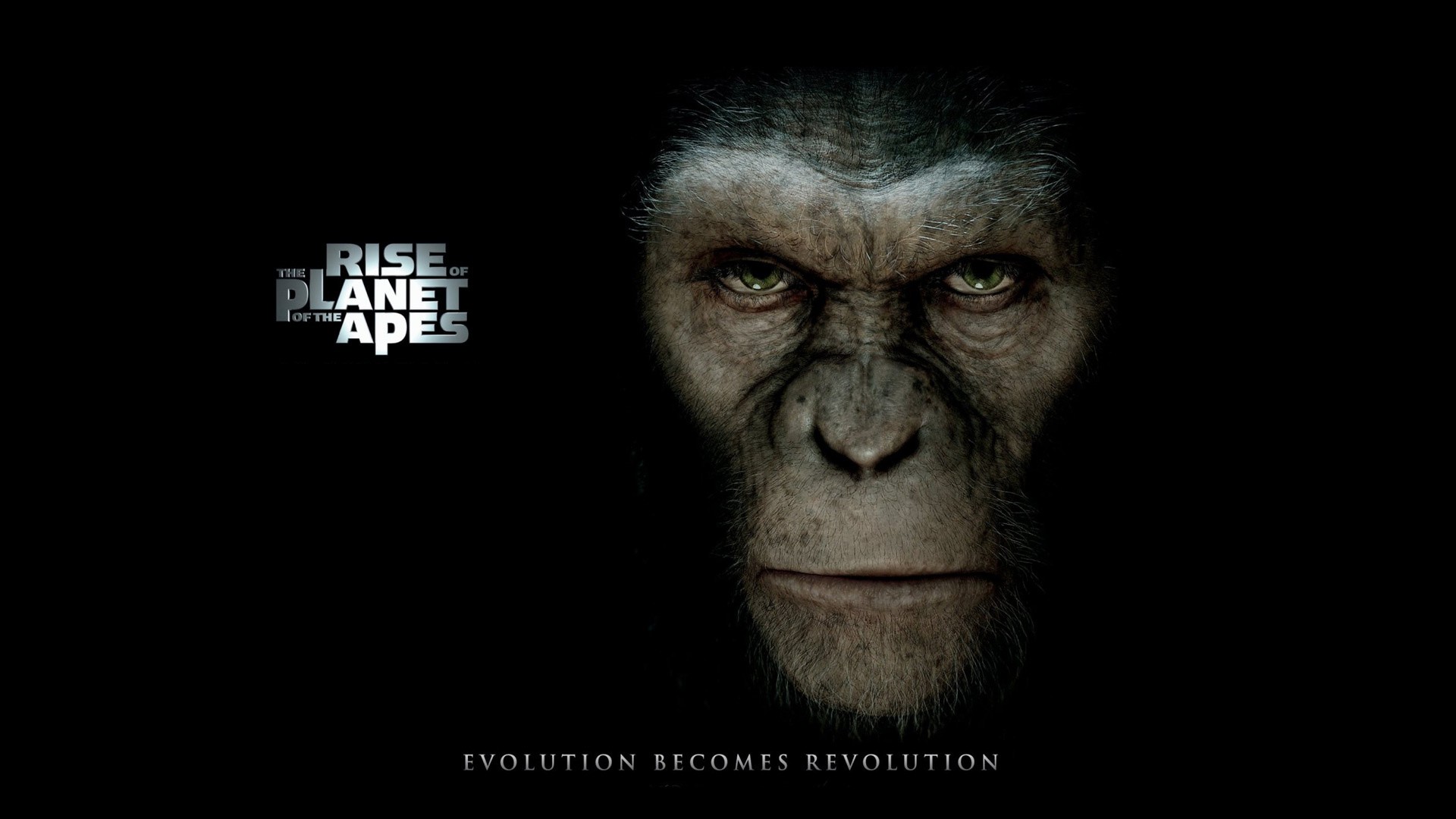 movies, Rise, Of, The, Planet, Of, The, Apes Wallpaper
