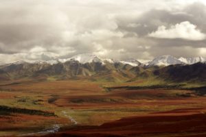 mountains, Landscapes, Nature, Tundra, Denali
