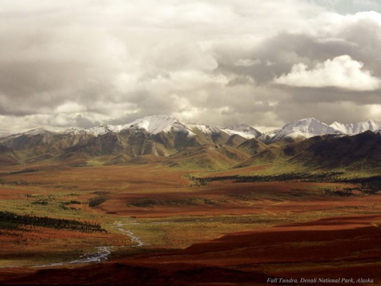 mountains, Landscapes, Nature, Tundra, Denali HD Wallpaper Desktop Background