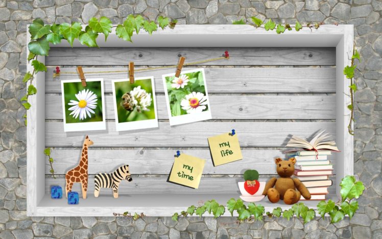 bears HD Wallpaper Desktop Background