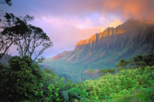 hawaii, Nature