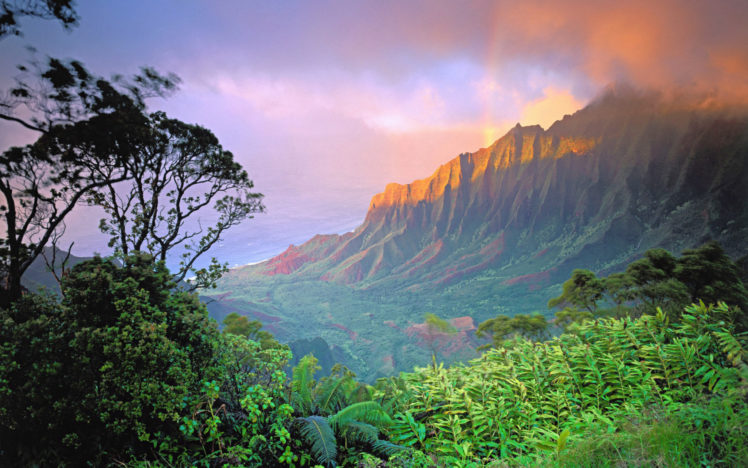 hawaii, Nature HD Wallpaper Desktop Background