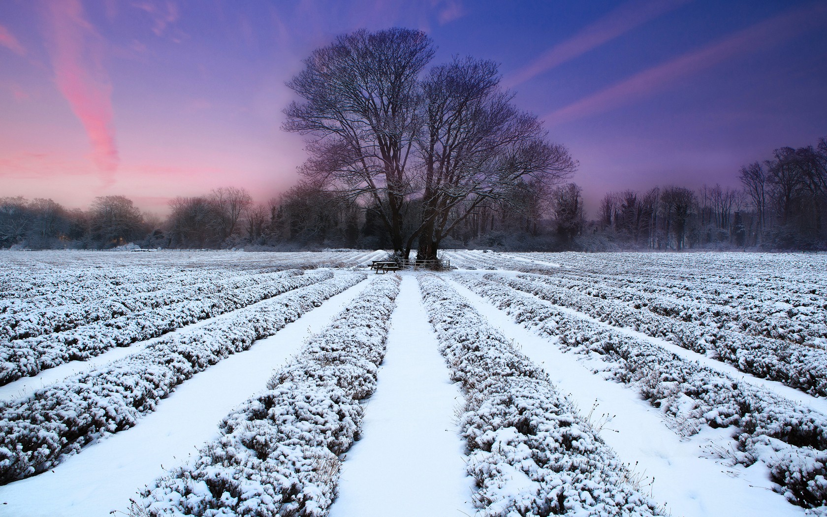 landscapes, Snow Wallpaper